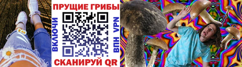 Купить закладки  Шимановск  Псилоцибиновые грибы Magic Shrooms